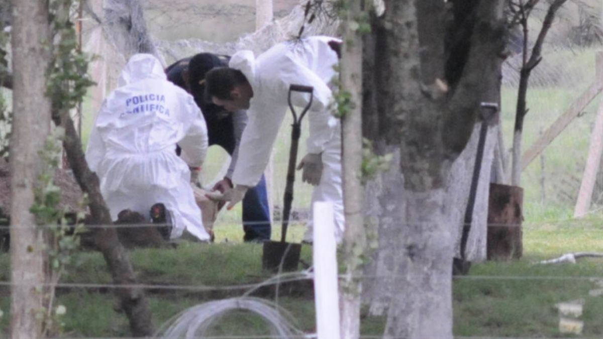 Tenía mordeduras: Encuentran muerto al pequeño Valentino, de 2 años, tras salir a jugar