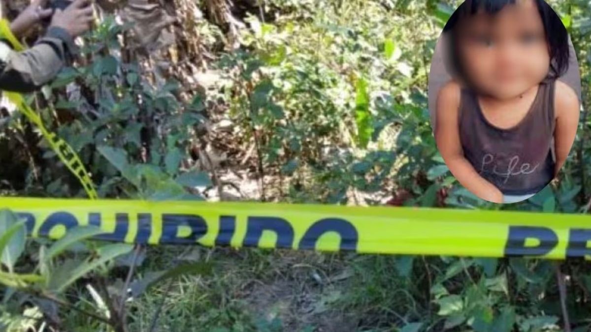 Perros rescatan cuerpo: Kiara, de 3 años, desaparece en sembradíos y la encuentran muerta