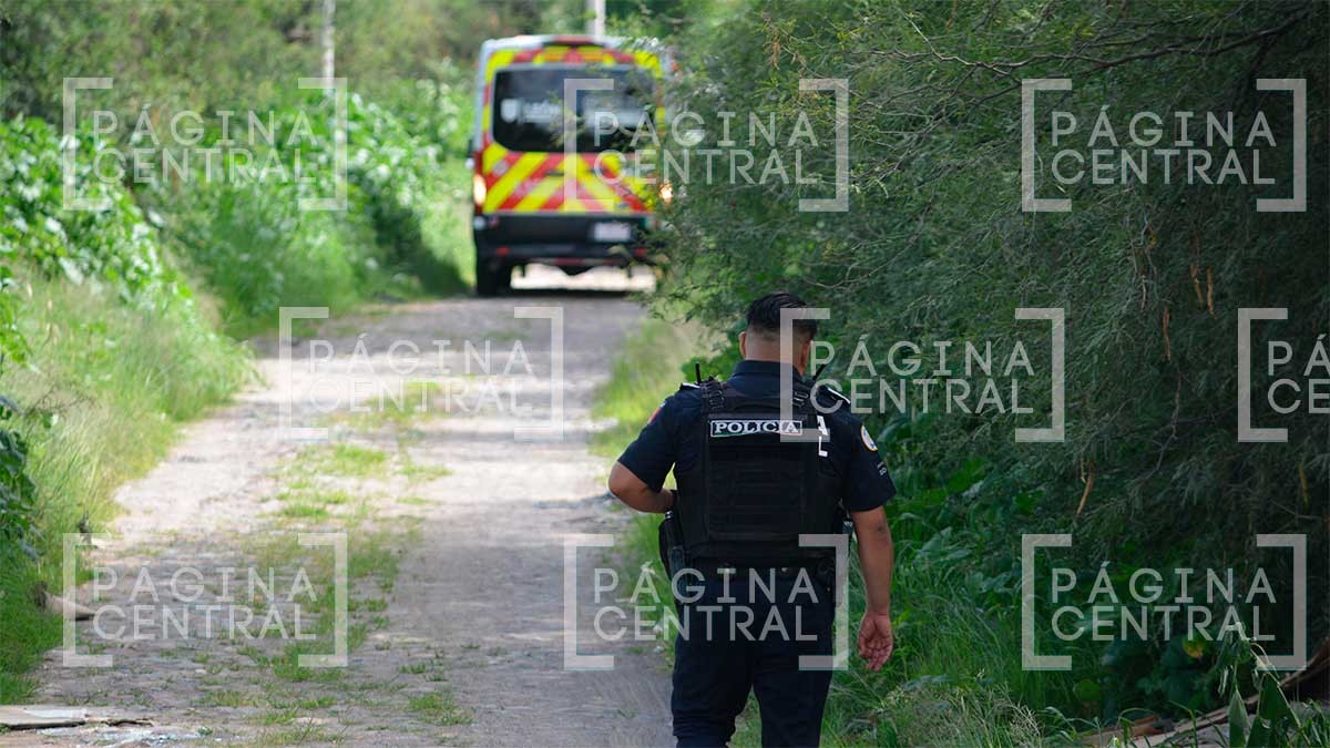 Hallan cuerpo con signos de violencia en camino de terracería en León