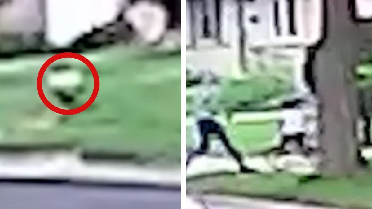 VIDEO Se lo llevan frente a sus ojos: Padre se esconde mientras secuestran a su hijo 