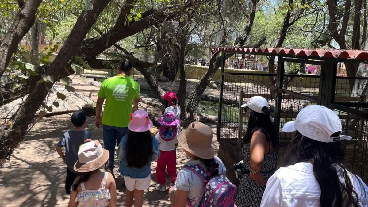 ¿Adiós rejas? Zooleón se transforma para estar en el top 3 a nivel nacional