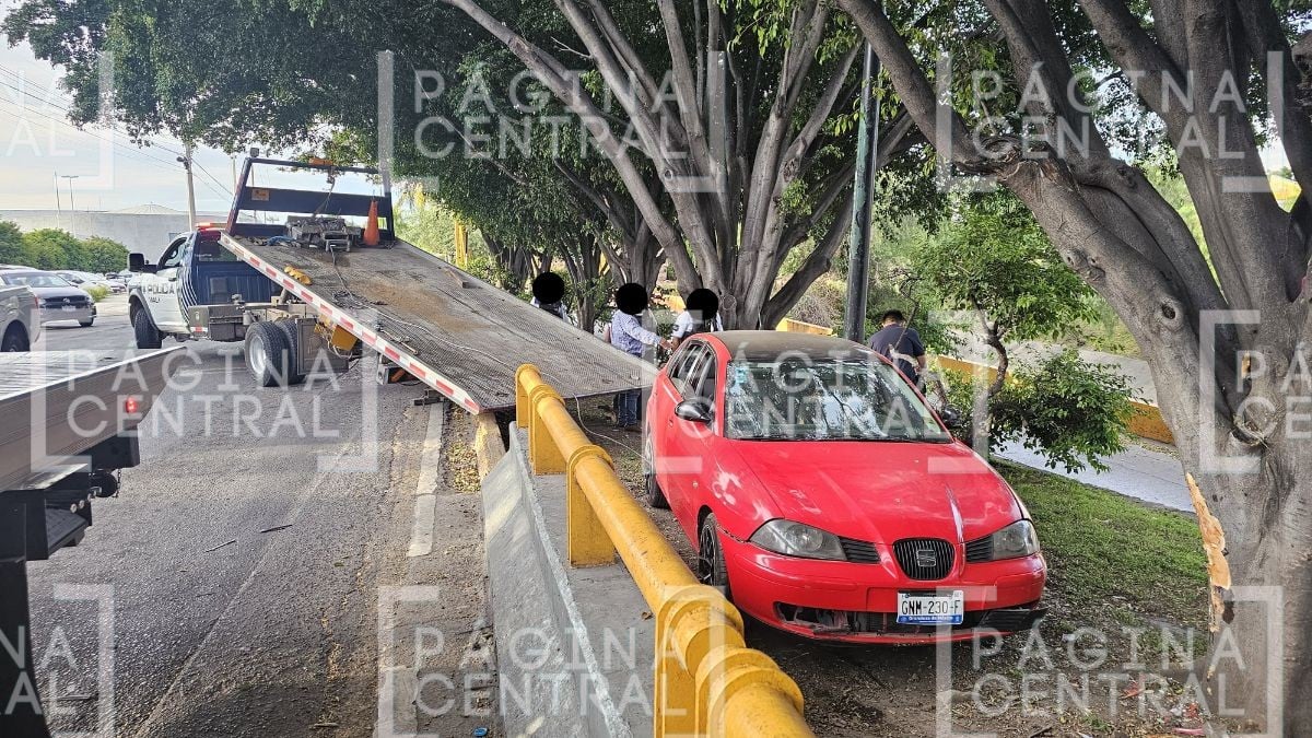 VIDEO ¡Lo salvan los árboles! Estudiante pierde el control de auto y casi cae a desnivel 