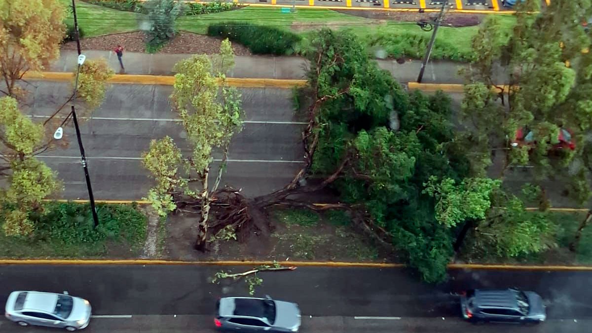 Tormenta con granizo colapsa norte y poniente de León: reportan caos vial y árboles caídos