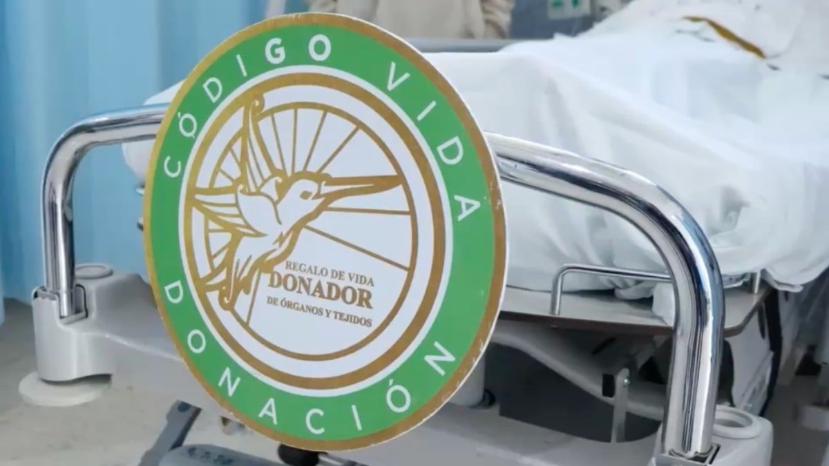 ¡Dos Arcángeles en el cielo! Guanajuato hace traslado aéreo de órganos para salvar 7 vidas