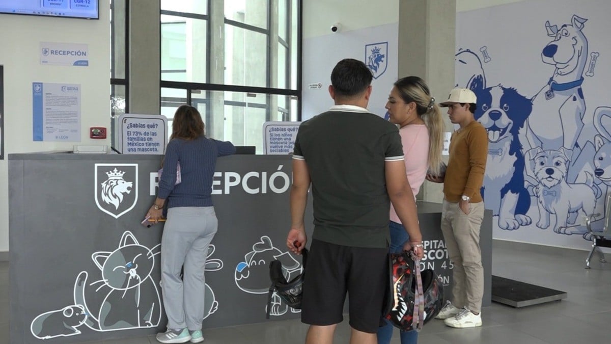 ¡Excelente servicio! Dueños de mascotitas piden más personal para el Hospital Veterinario