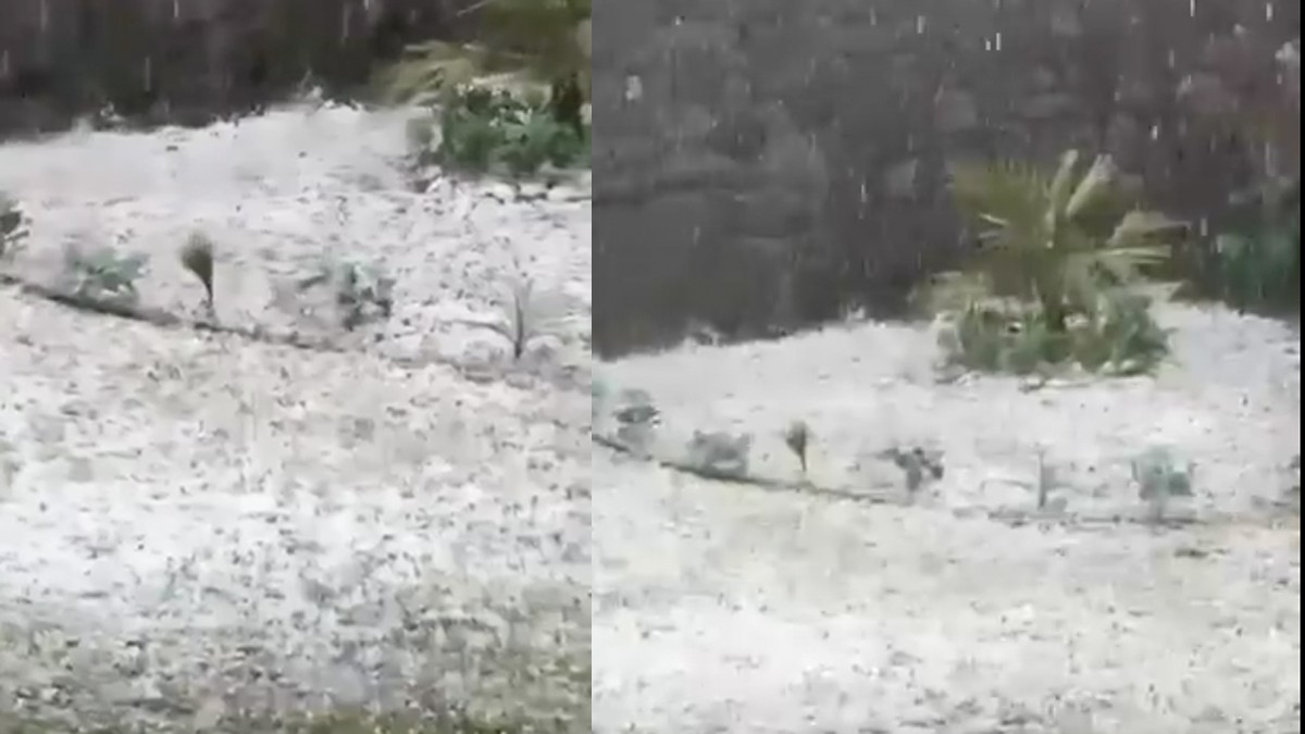 VIDEO Zona norte de León se pinta de blanco por granizada