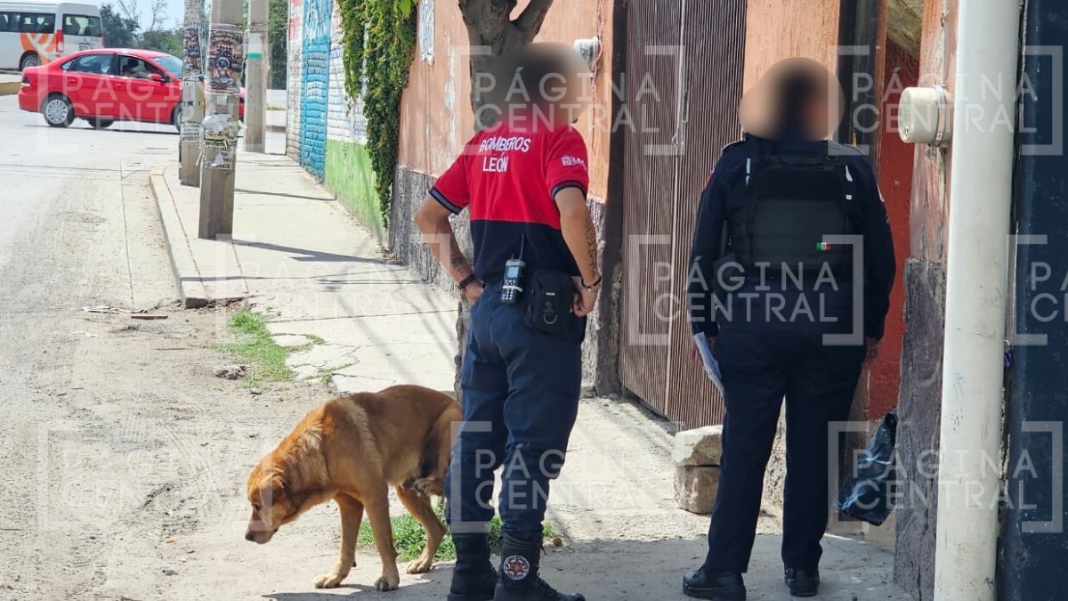 Yohana iba en sus patines a comprar pollo cuando de pronto un perro se fue contra ella