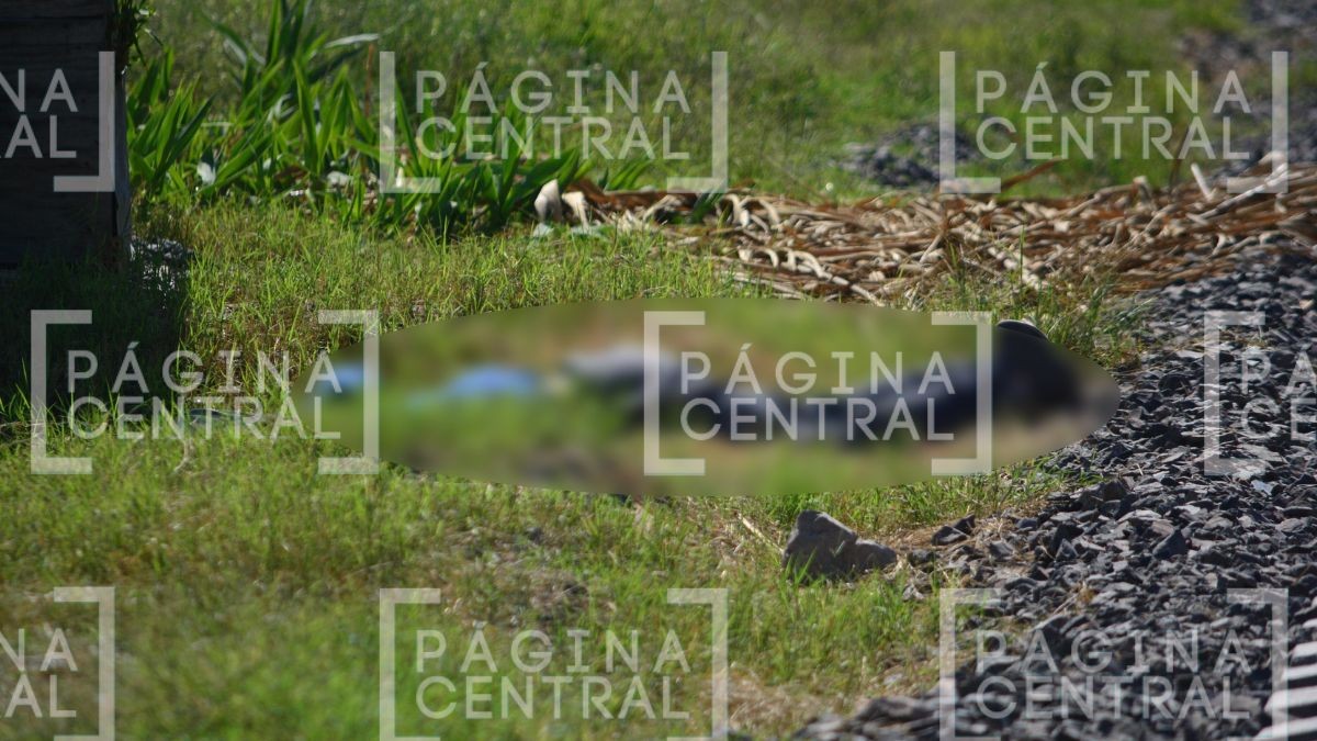 VIDEO No ha sido identificado: Hombre muere arrollado por tren en León 