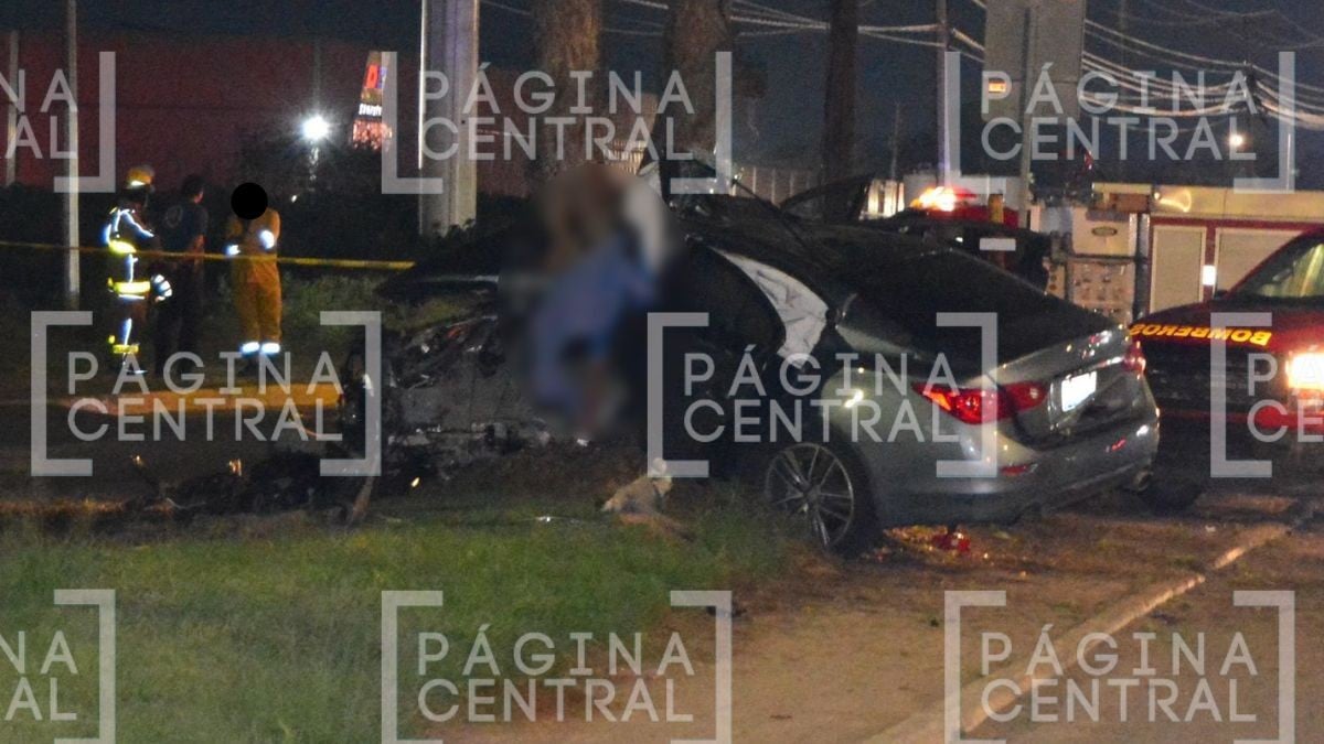 VIDEO Terminó incrustado en árbol: Hombre muere en fuerte choque por exceso de velocidad