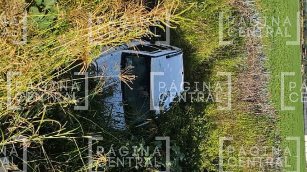 VIDEO Por esquivar caballo: Jeep, en el que viajaban trabajadores, cae a canal de riego 