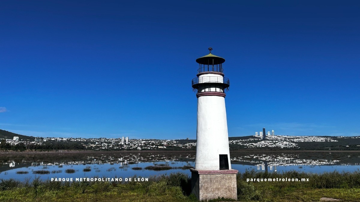 Denuncias por acoso y hostigamiento contra directora del Metropolitano suman 31