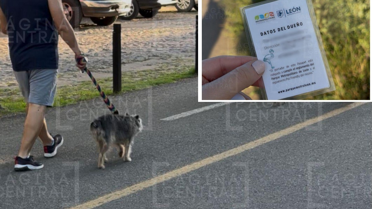 Esto es lo que debes hacer para llevar a tu mascota al Parque Metropolitano