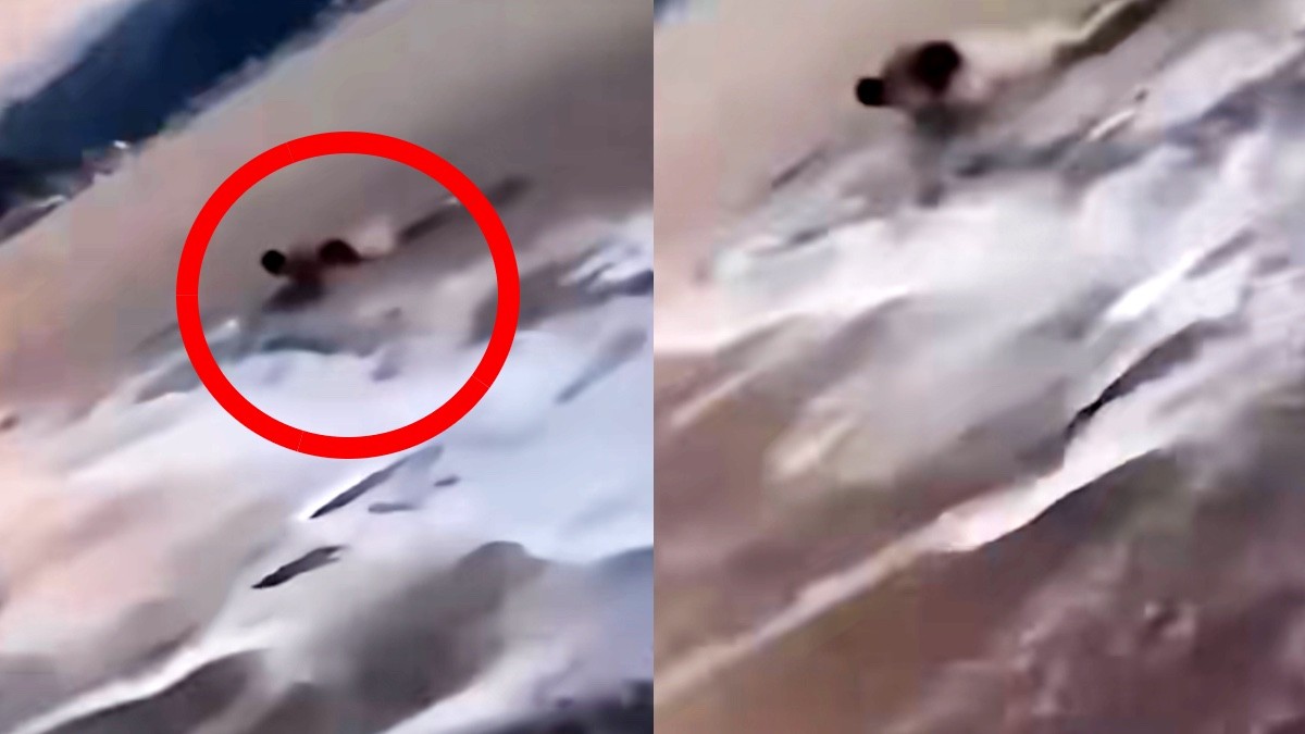 VIDEO: Joven se topa con cocodrilo en playas de Vallarta