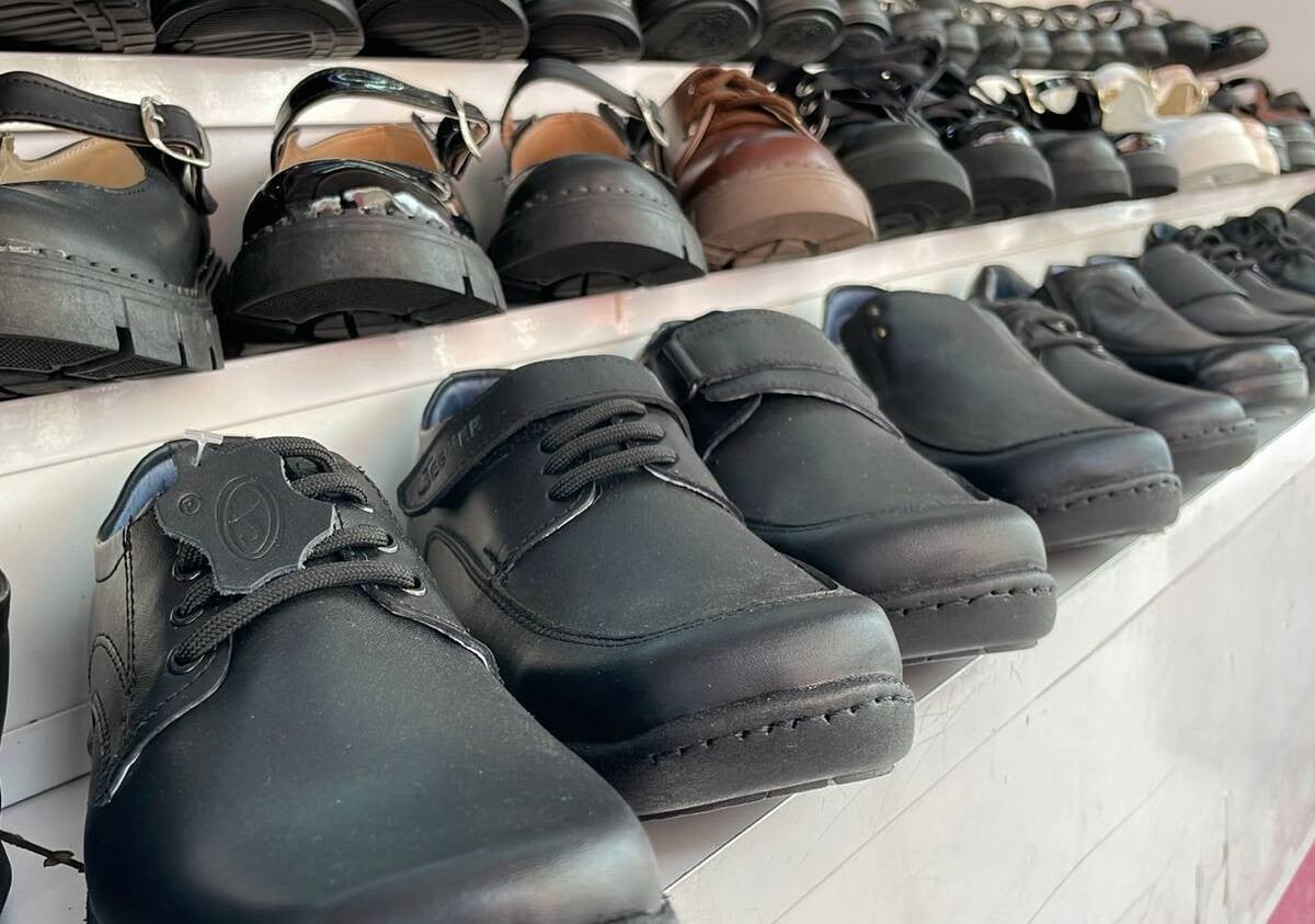 Publican decreto que frena importación temporal de calzado