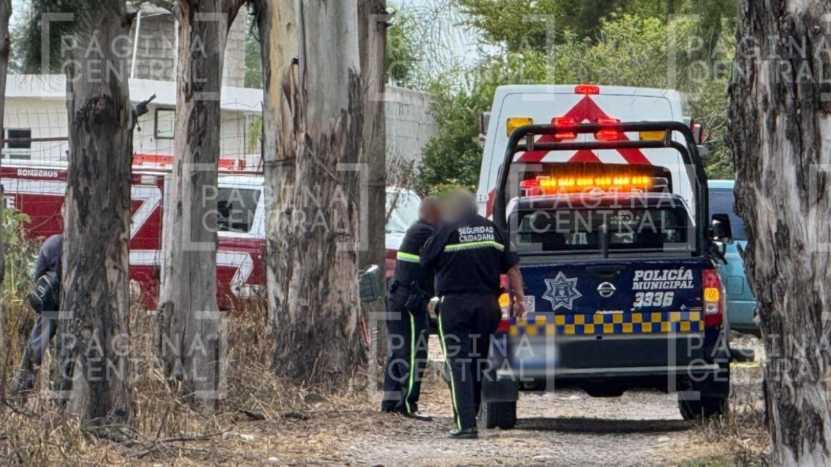 ¡Terrible descuido! Conductor de camioneta se bajó para abrir portón y atropelló a mujer