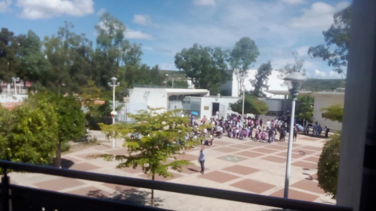 Tensión y angustia en la Escuela Vanguardia ¡Enjambre pone a correr a los alumnos!