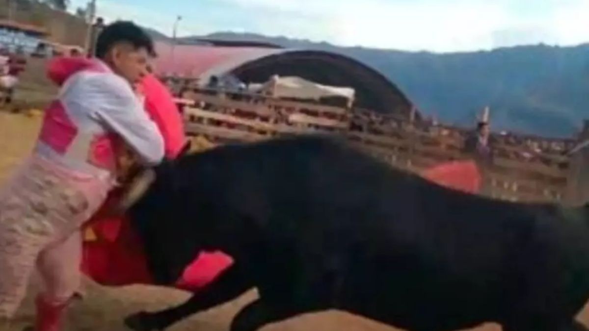 VIDEO ‘¡Le ha roto su panza!’, muere torero tras cornada en corrida transmitida en vivo
