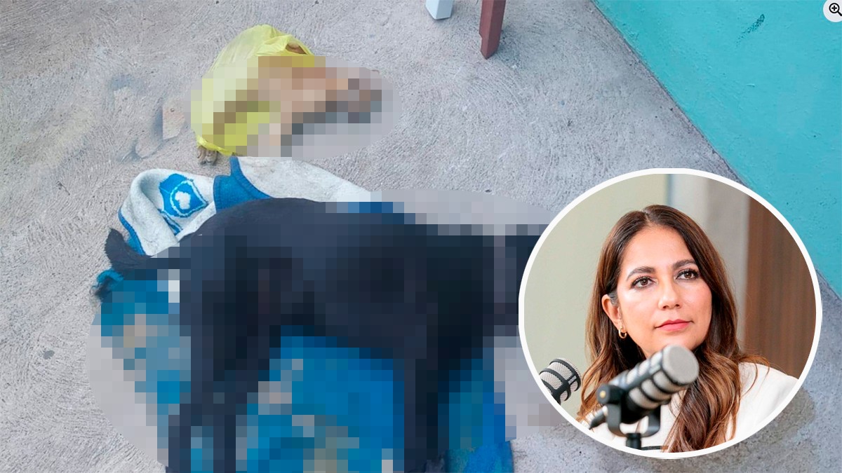 Libia Dennise: “Se llegará hasta las últimas consecuencias” por envenenamiento de animales