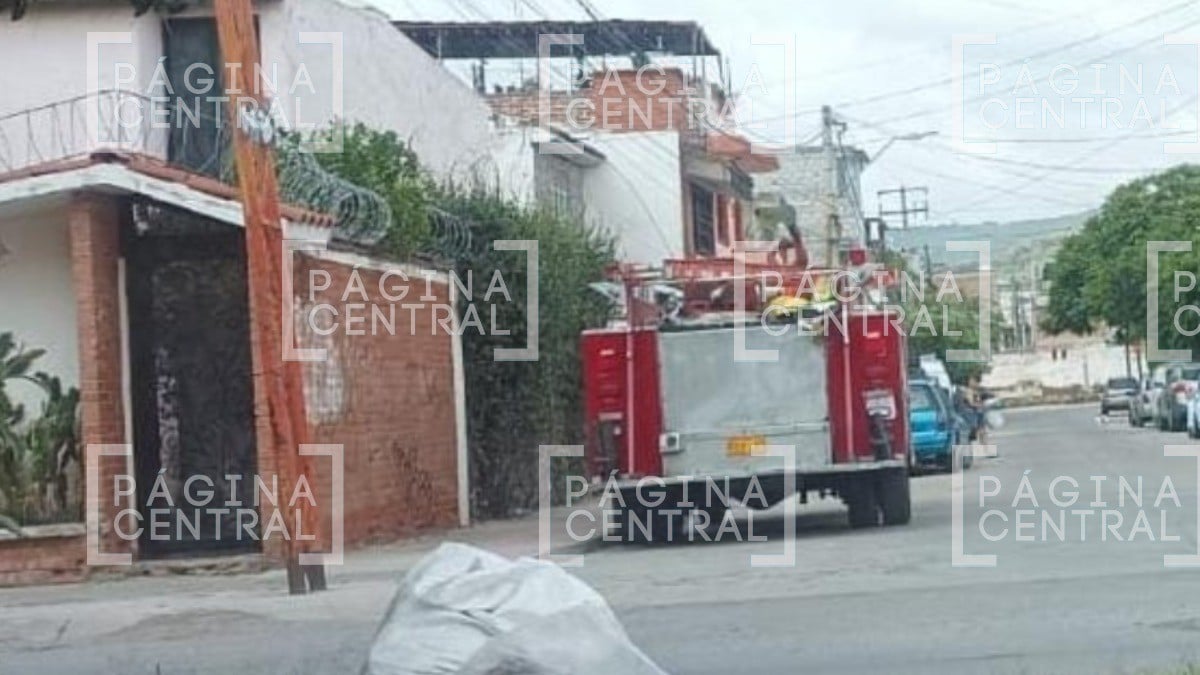 Abejas atacan a familia y a gasero en esta colonia de León; dejan 7 heridos