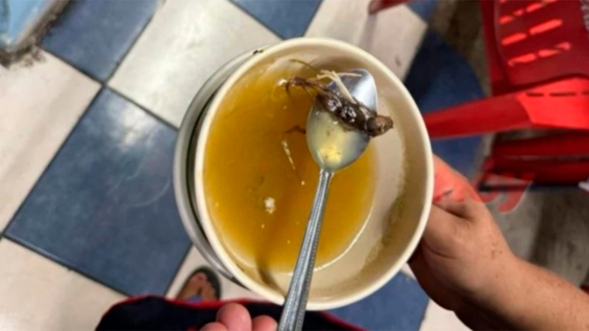Restaurante sirve caldo con un ratón cocido a niña de 2 años; la menor fue hospitalizada