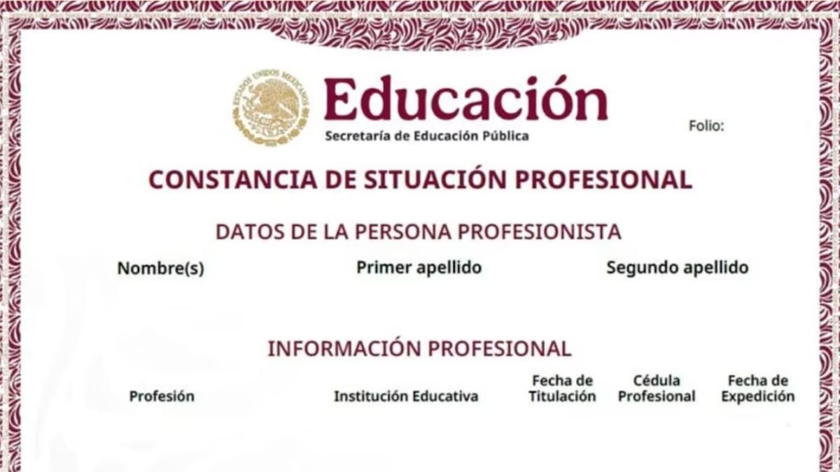 ¿Sabes qué es la Constancia de Situación Profesional? Así puedes obtenerla paso a paso
