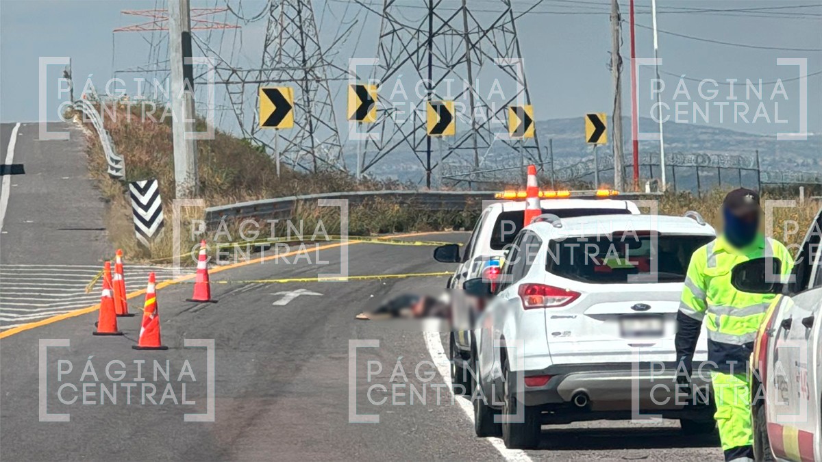 Murió al intentar cruzar corriendo la autopista; una camioneta lo atropelló