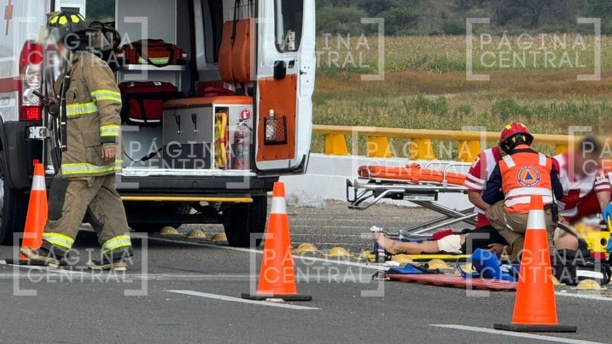 ¡Libretas quedaron regadas! Estudiantes sufren terrible accidente por culpa de un animal