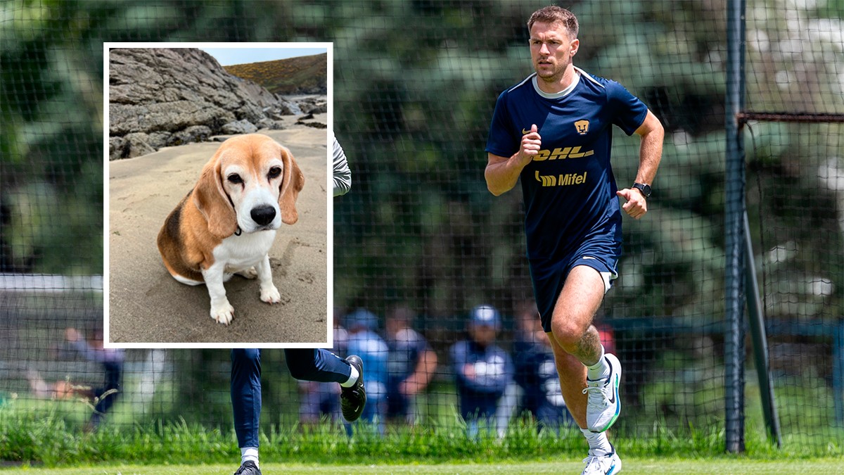 Jugador de Pumas pide ayuda para localizar a su perro perdido en San Miguel de Allende