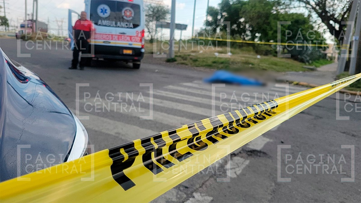 Cruzó el bulevar sin precaución y fue embestido por un tráiler; murió en el sitio