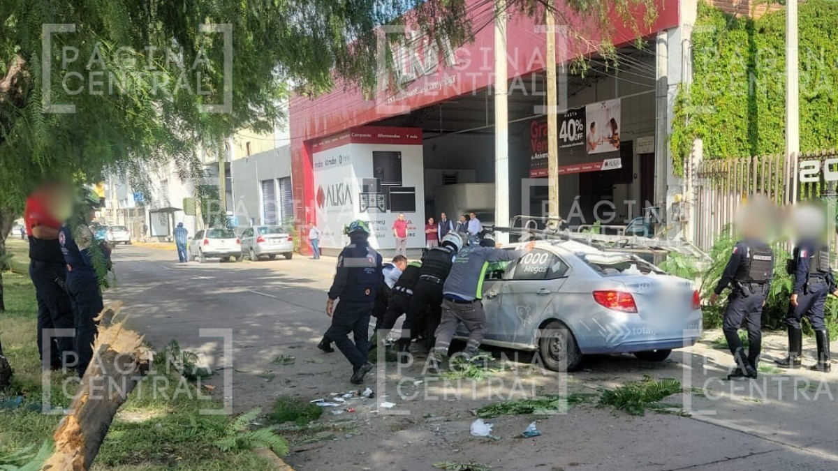 ¡Sobre el toldo! Auto de empresa choca con árbol y vuelca, ¡la escalera salió volando!