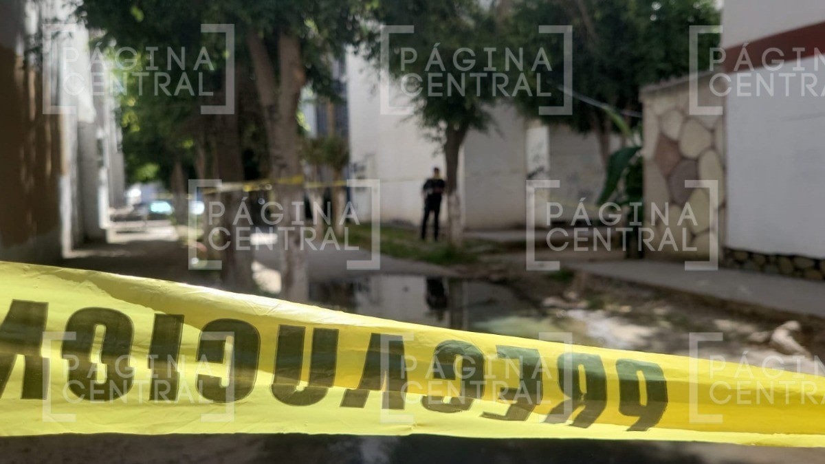 ¡Como 8 balazos! Asesinan a hombre y quedó entre departamentos, jovencita no lo podía creer
