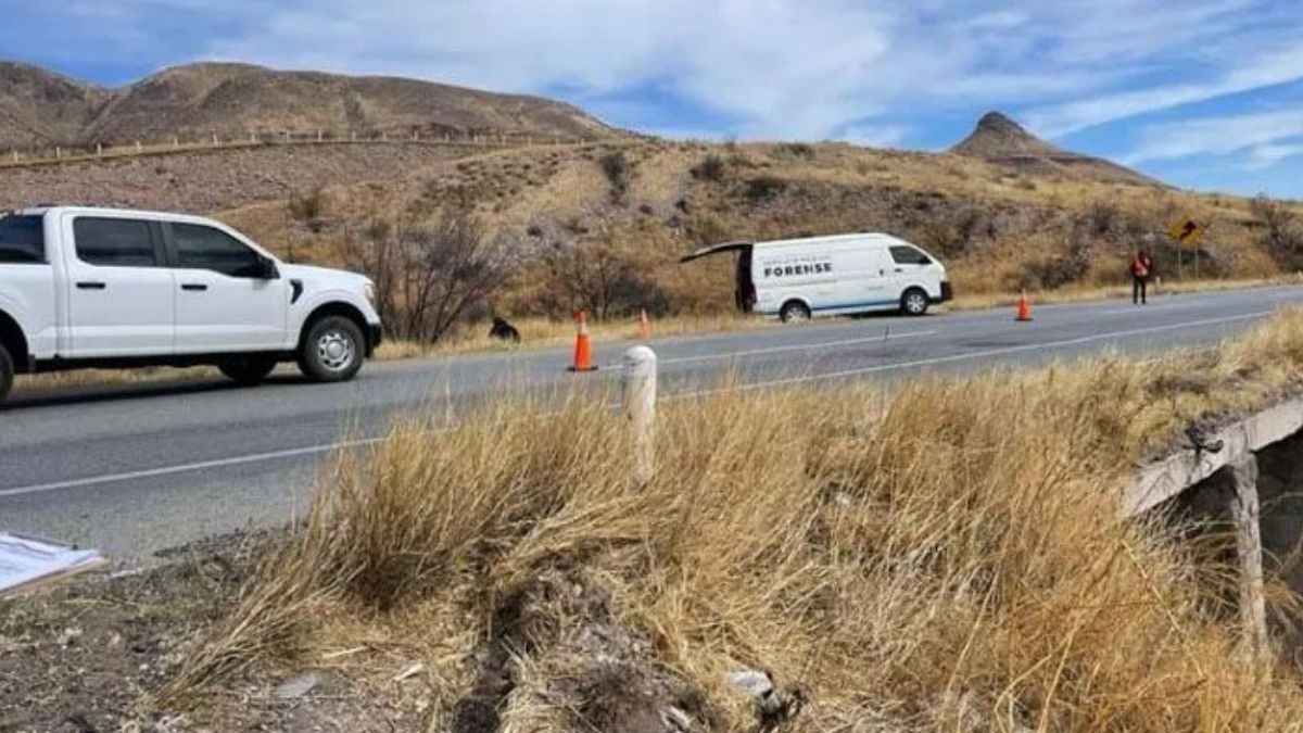 Estaban calcinados: Conductores localizan 3 cuerpos abandonados en plena carretera