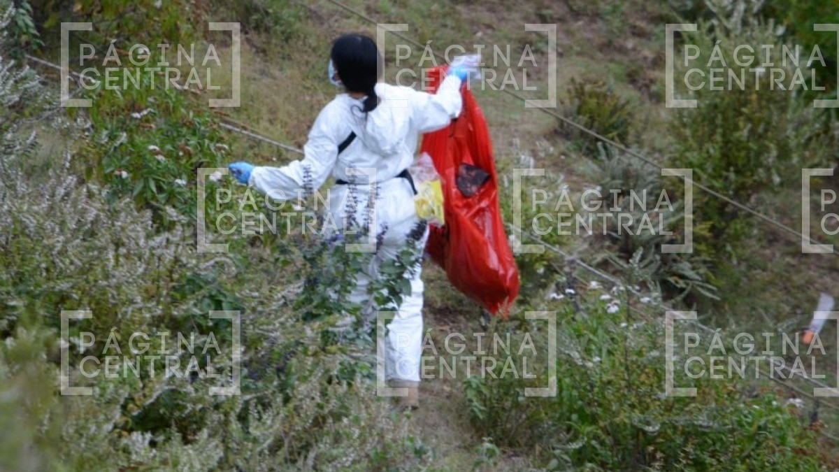 Comisión de búsqueda halla restos humanos cerca de El Gigante