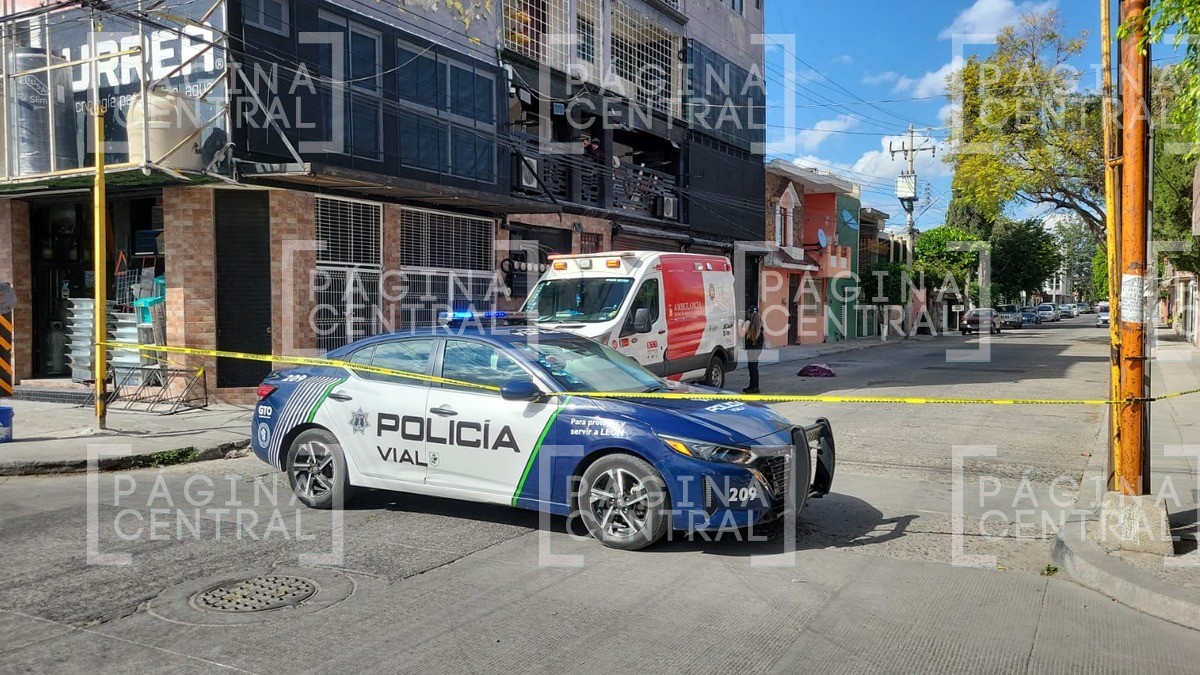 ¡Abejas están alborotadas! Enjambre 'pone a correr' a habitantes de esta zona de León
