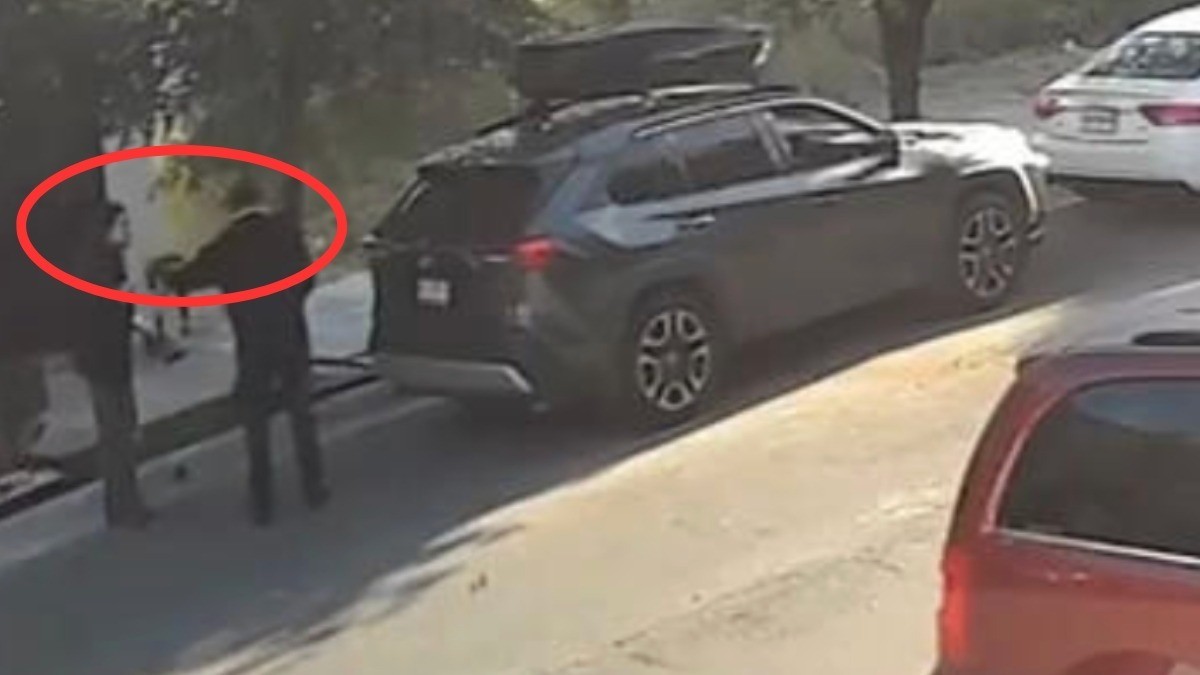 VIDEO “¡Tranquilo!” Hallan cuerpo de mujer en volcadura; minutos antes hombre la agredió