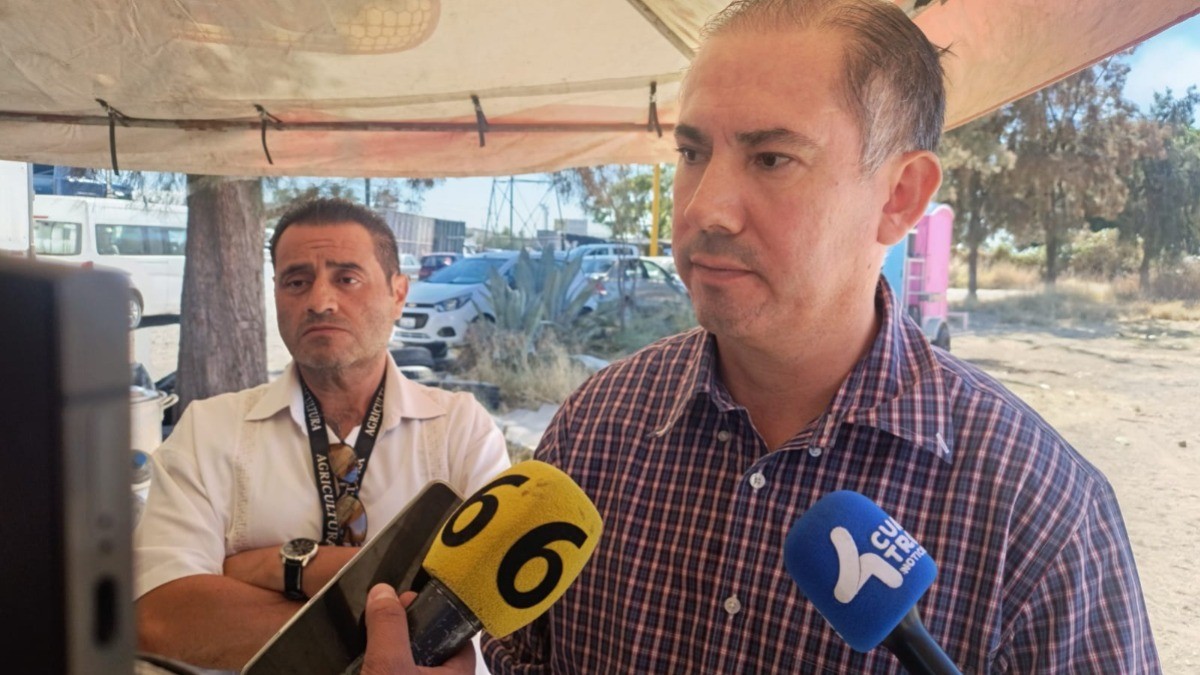 Empresas afectadas por bloqueos piden intervención federal para liberar sus entradas