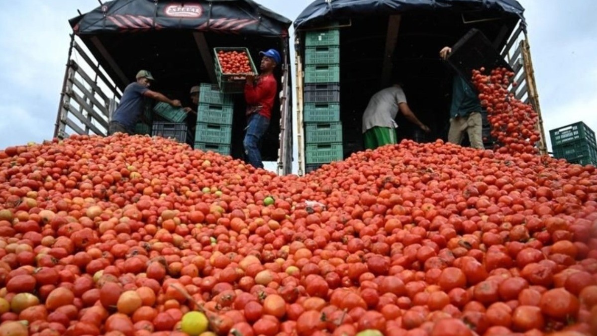 Mete Trump reversa a arancel en alimentos 