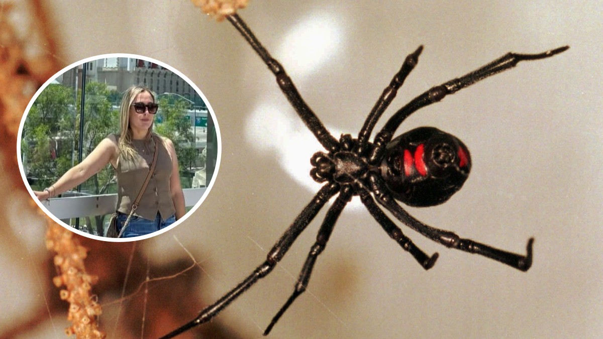 Muere tras ser mordida por araña; IMSS tenía antídoto, pero priorizó la reacción alérgica