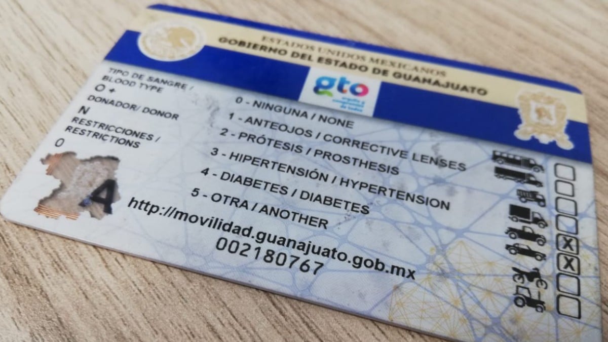 ¿Licencias de conducir de por vida en Guanajuato? Plantean cambiar el modelo de renovación