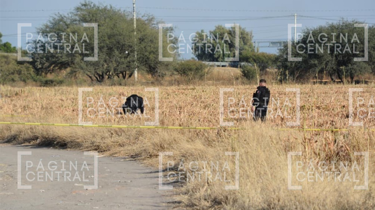 Vecinos escucharon disparos en la noche y hoy hallan a una mujer sin vida entre la hierba