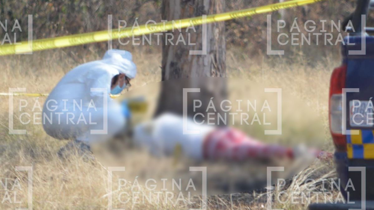 VIDEO Estaba en campo de futbol: Localizan a mujer maniatada y con huellas de violencia