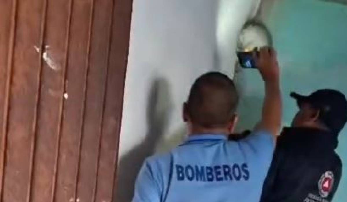 VIDEO Vecinos escuchan fuerte llanto dentro de tubería en León y quedaron sorprendidos   