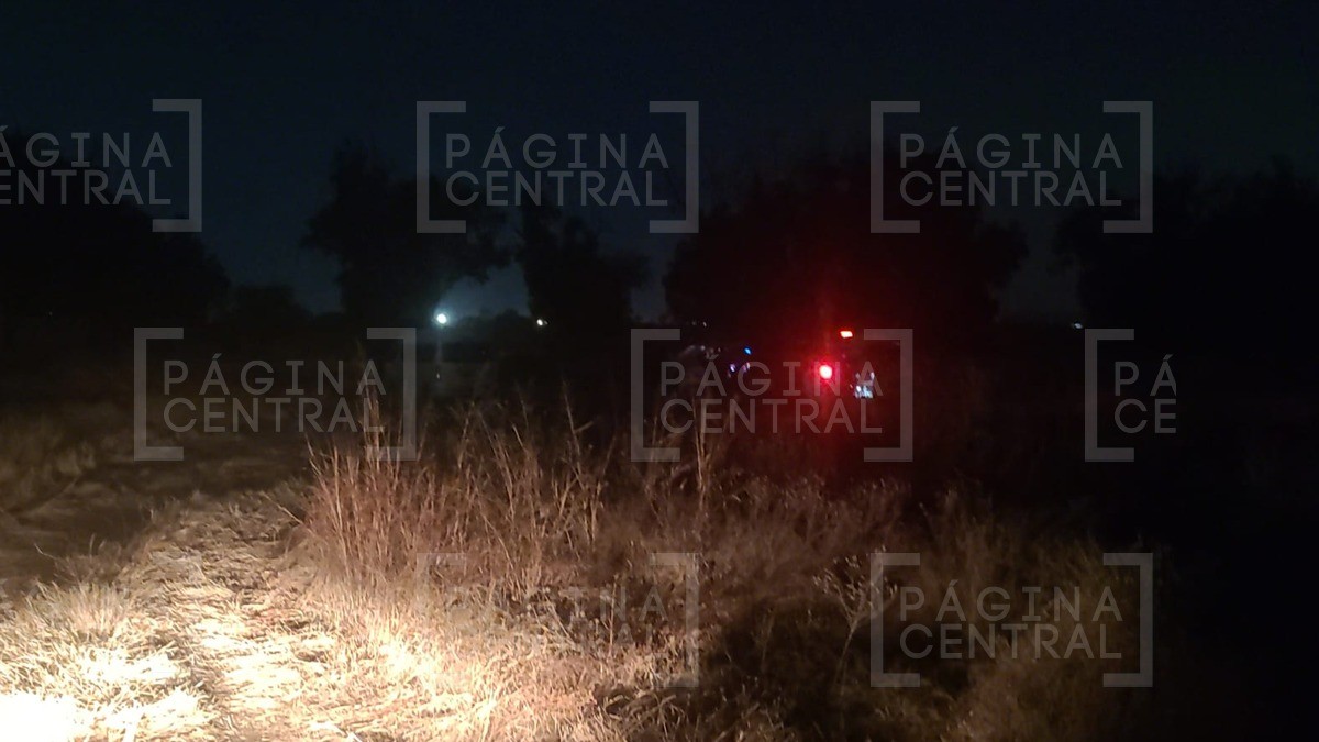 Fosa clandestina en Silao: FGE confirma restos humanos de este número de personas