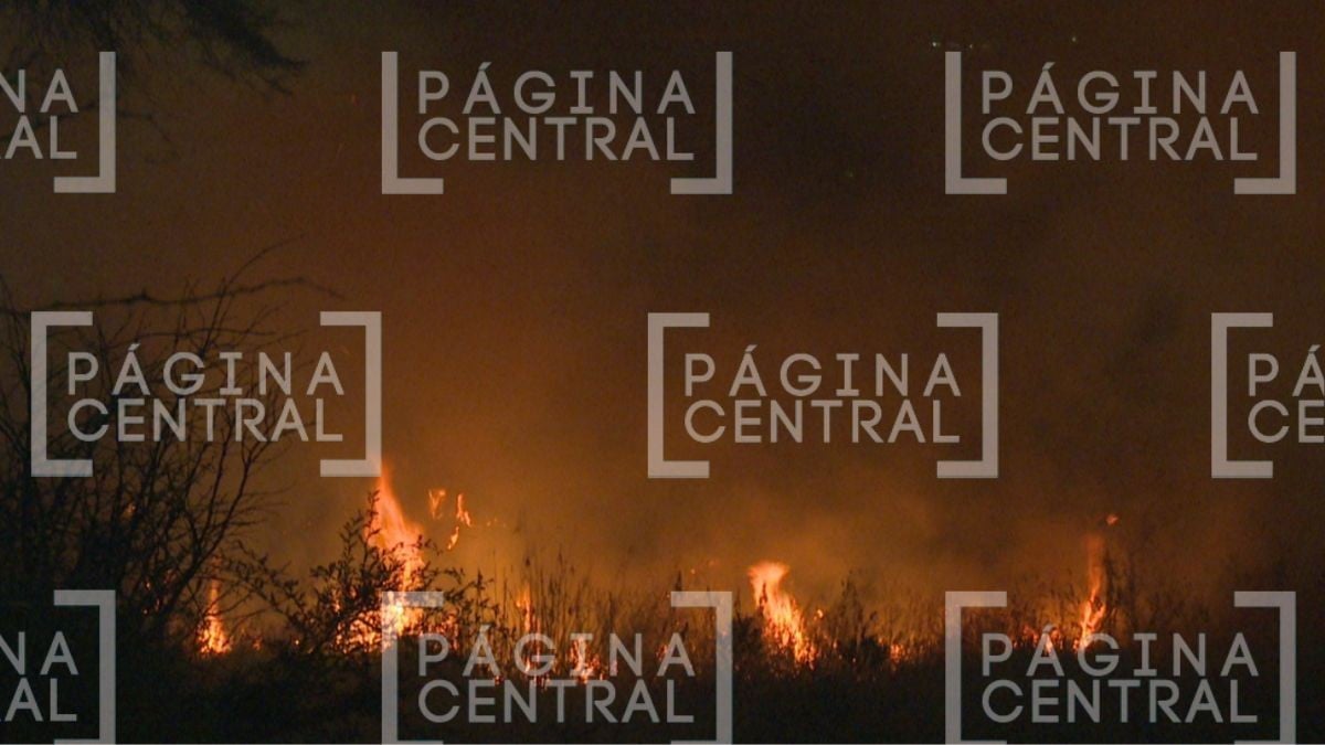 ¡Fuerte incendio! Alerta quema de pastizal en pleno desagüe