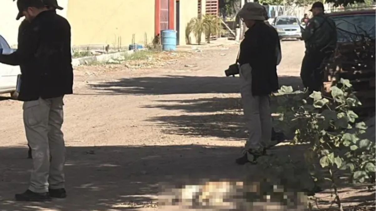 Perrito intentó defenderlo: Ataque armado deja a un joven y su mascota sin vida 