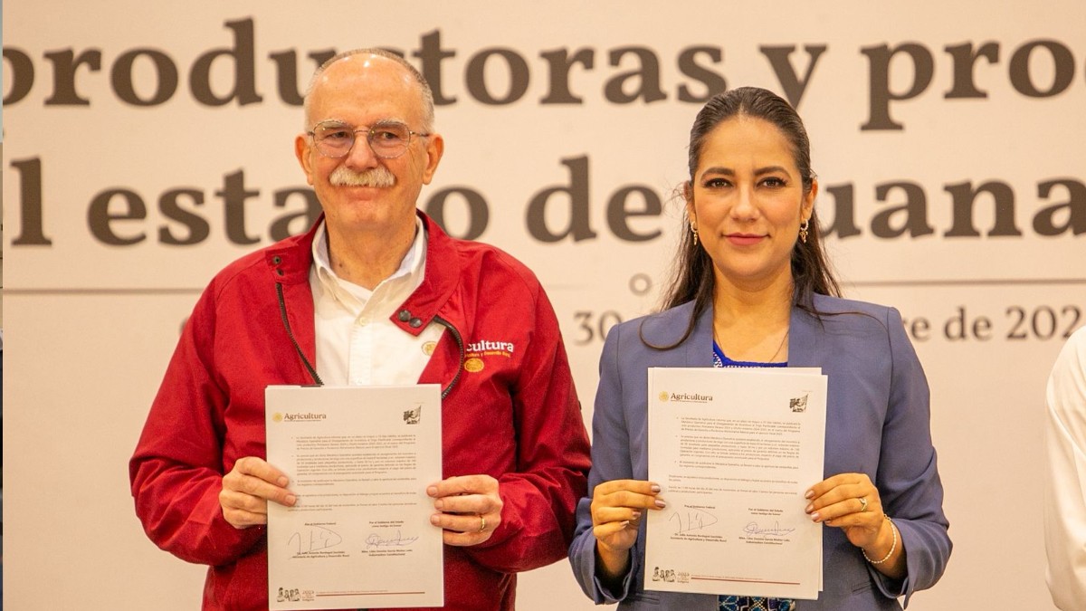 Más apoyo al campo en Guanajuato: anuncian beneficios para productores de trigo