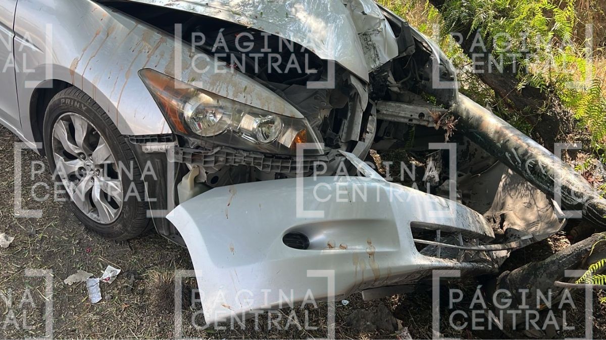 VIDEO Se sintió mal: Conductor pierde el control y choca contra un árbol