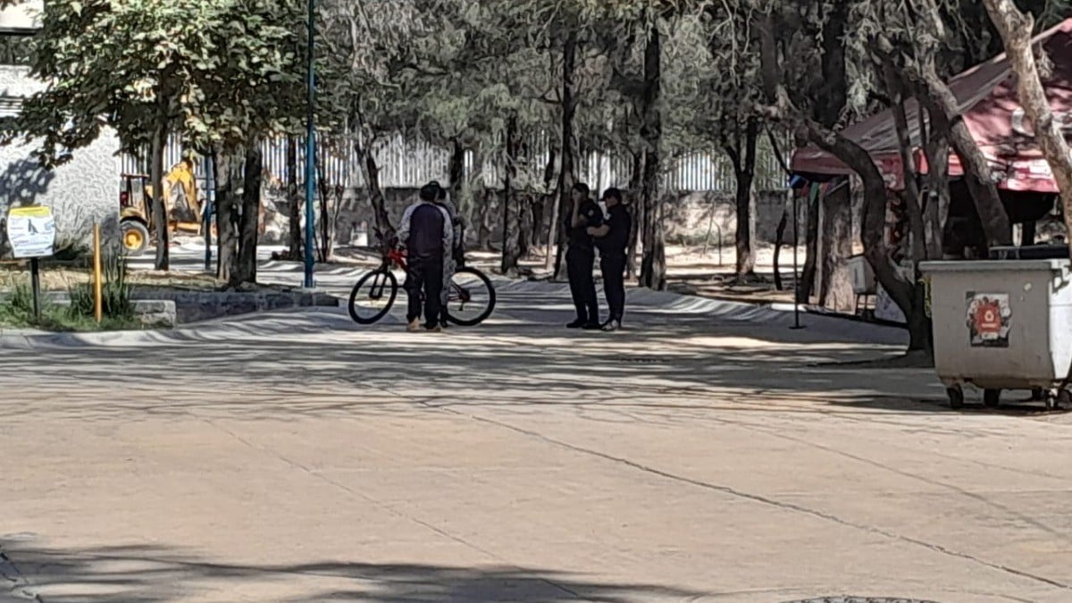 Personal del Zoológico estaría involucrado en incidentes que han causado muerte de animales