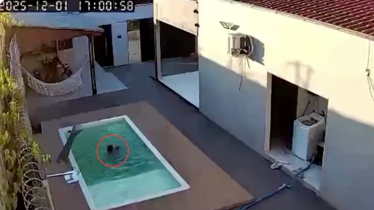 VIDEO ¡De milagro! Papá salva a sus dos hijos que se ahogaban en la alberca de su casa