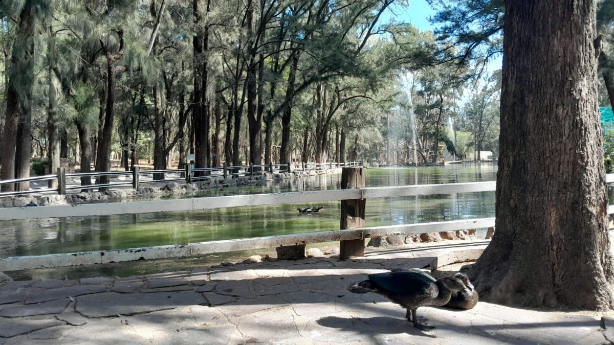 El Zoológico de León acatará estas recomendaciones hechas por Profepa